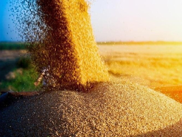 Україна працює над альтернативними заходами у разі припинення роботи "зернової угоди"