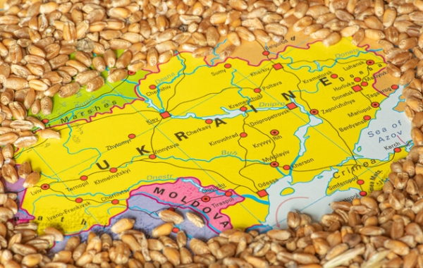 Війна в Україні спричинила один із найбільш руйнівних періодів для глобальної продовольчої безпеки — звіт американської розвідки
