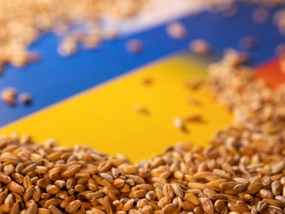 Україні не дають нагодувати співгромадян у ЄС звичними продуктами - представники АПК про квоти на експорт