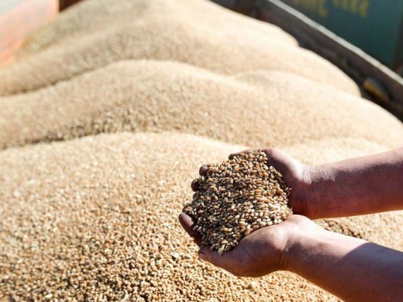 Lloyd's веде переговори з ООН щодо страхування експорту українського зерна у Чорному морі у разі нової угоди - Reuters