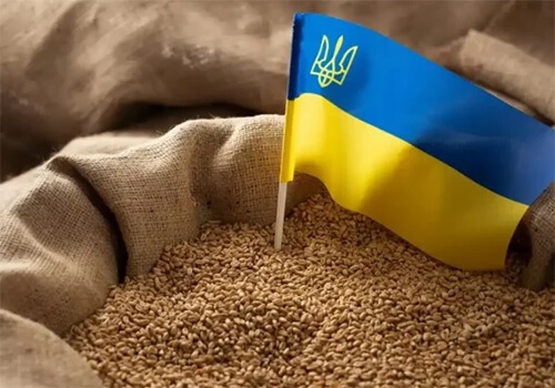У Німеччині розкритикували рішення Польщі, Угорщини та Словаччини про чергову заборону на імпорт українського зерна