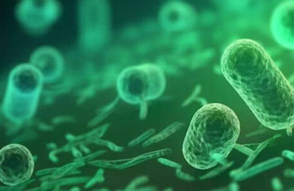 Вже понад 100 від початку червня: у МОЗ розповіли про позитивні знахідки холероподібного вібріона