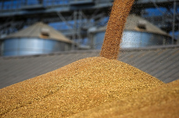 До уваги експортерів: голова Одеської ОВА Кіпер назвав умови завантаження зерна