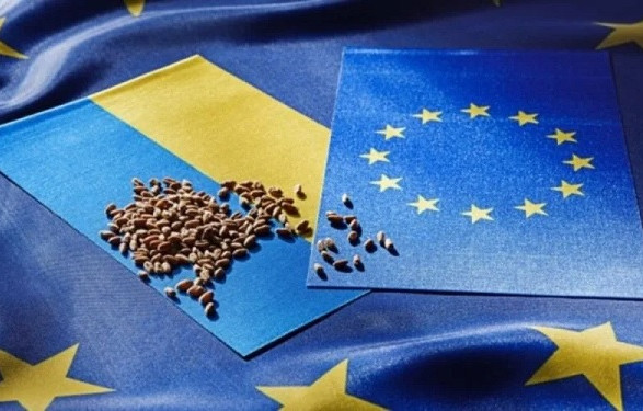 Єврокомісар висловив підтримку ідеї компенсувати українським аграріям вартість експортної логістики