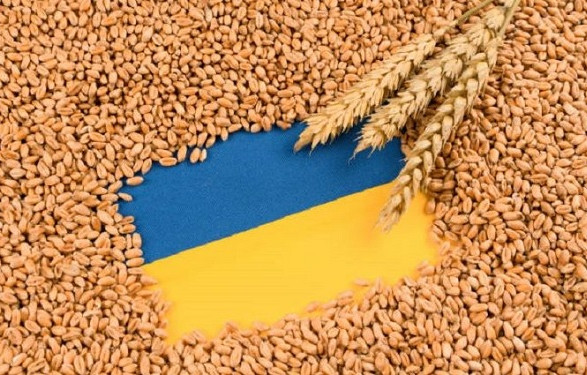 Більшість країн ЄС проти продовження блокування українського агроекспорту після 15 вересня – ЗМІ