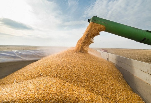 Румунія затвердила правила імпорту українського зерна