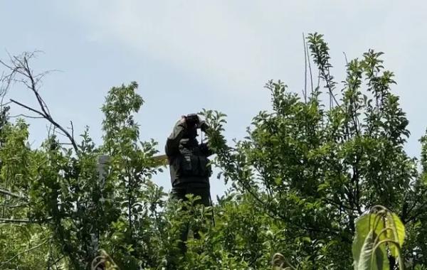 Росіяни провели невдалий рейд вздовж кордону Сумщини та просунулись на Харківщині та Донбасі – ISW