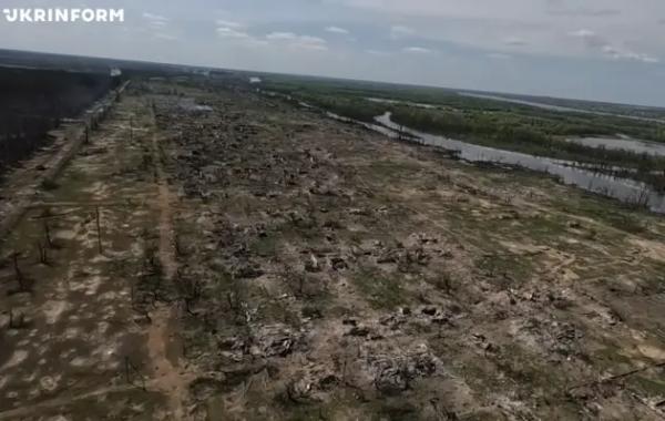 ЗСУ через пожежі перемістилися на нові позиції в районі Кринок — Лиховій (карта)