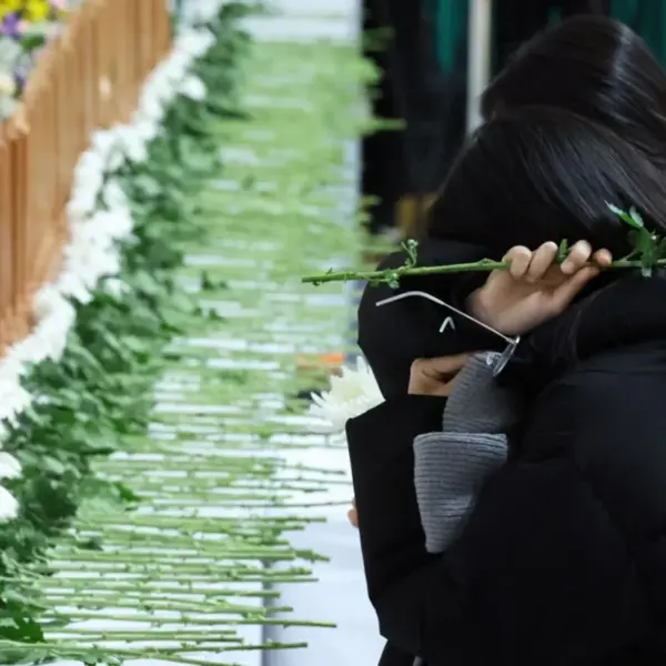 Авіакатастрофа у Південній Кореї. Пілота попереджали про зіткнення&hellip;