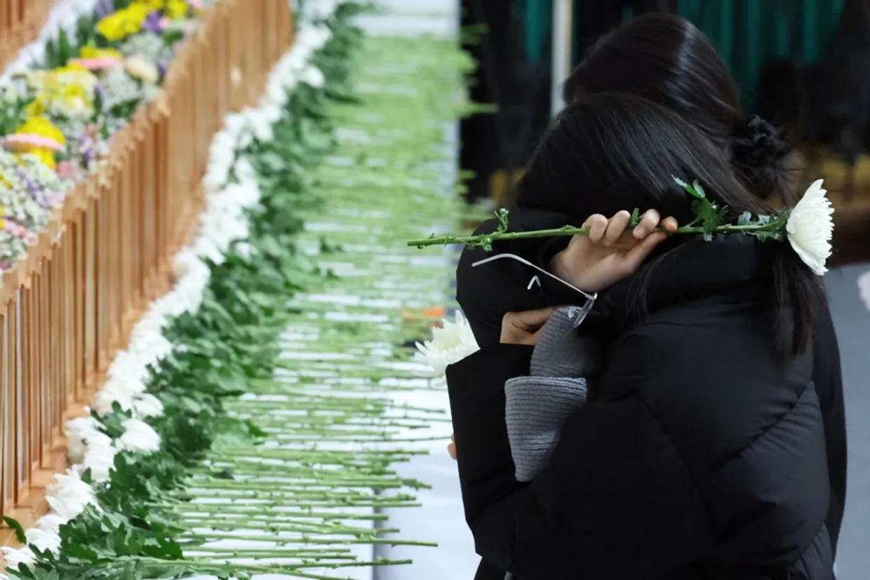 Авіакатастрофа у Південній Кореї. Пілота попереджали про зіткнення з птахом – Sky News