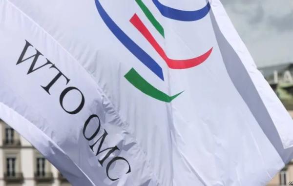 США вперше не підтримали заяву СОТ із засудженням російського вторгнення в Україну – ЗМІ США вперше не підтримали заяву СОТ із засудженням російського вторгнення в Україну – ЗМІ