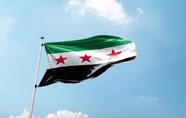 Українці допомогли повалити режим Асада — сенатор Вілсон Українці допомогли повалити режим Асада — сенатор Вілсон