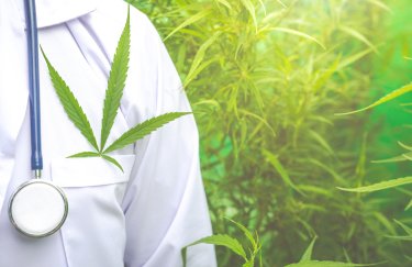 Медичний канабіс: вітчизняні інвестиції, а не закордонні, для українського ринку