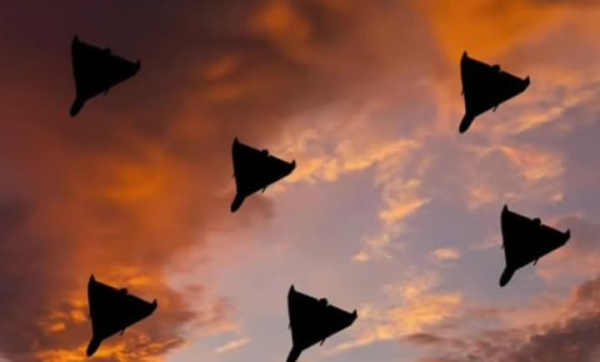 Окупанти намагаються відрізати від транспортних комунікацій всю західну частину Одещини - “Флеш”