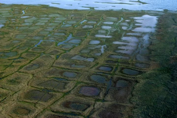 Суд дозволив ConocoPhillips продовжити розвідку нафти на Алясці