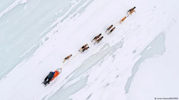 Гонка собачих упряжок у Гренландії: спецпосланцю Трампа скасували запрошення