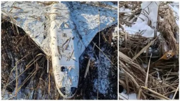 У Молдові виявили російський дрон "Гербера": МЗС країни виступило із засудженням