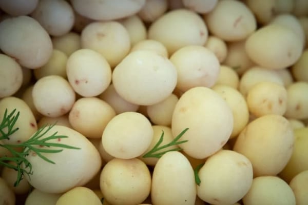 Берлін завалений картоплею: безкоштовна роздача врожаю через надлишок.