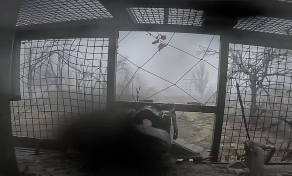 АіФ UA 46 ГУР приголомшує: логістика ворога під Запоріжжям обірвана, штурмові групи знешкоджені