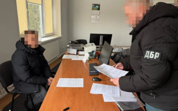 Митник Волині "оптимізував" податки на електромобілі: бюджет втратив 700 тисяч 9