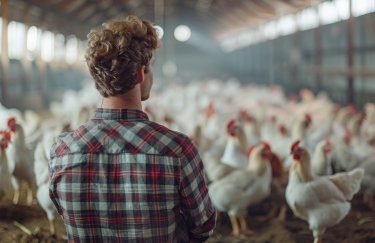 Чи обмежить Україна імпорт молдовського вина через курятину? 2