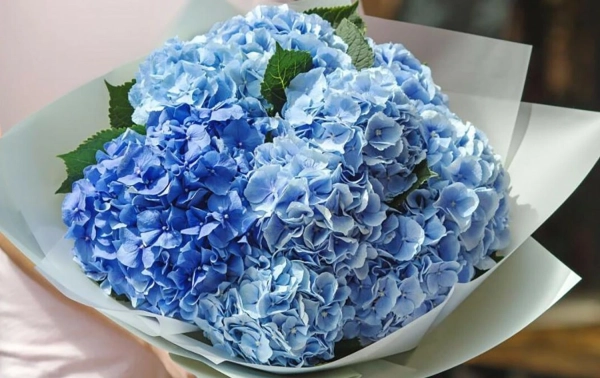 Мова квітів: символічний букет для Дня Святого Валентина 12