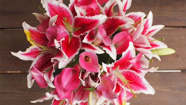 Мова квітів: символічний букет для Дня Святого Валентина 10