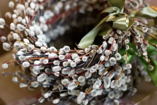 АіФ UA 36 Вербна неділя: дізнайтесь про глибокі традиції та символи весняного свята