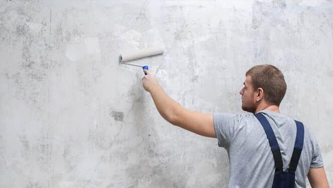 Як вибрати ґрунтовку для стін: поради професіоналів та тонкощі вибору