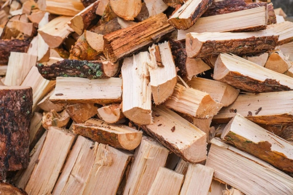 Попит на дрова в Україні зростає: продажі вже перевищили показники 2025 року 9