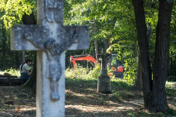 Польща: Другої могили жертв УПА не виявили під час нового етапу пошуків у Пужниках 2