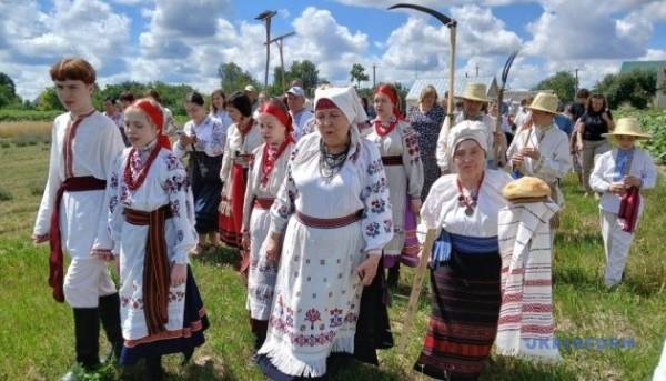 АіФ UA 64 “Зажинки”: як перші колоски задають тон для різдвяного дідуха