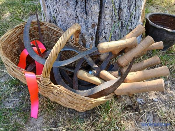 "Зажинки": як перші колоски задають тон для різдвяного дідуха 19 "Зажинки": як перші колоски задають тон для різдвяного дідуха 19