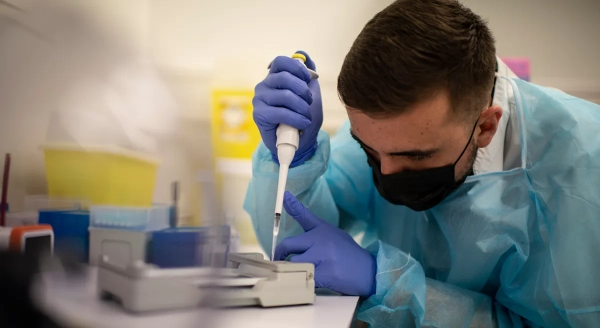 Австралія виявила H5N1 у морського птаха: перша місцева інфекція підтверджена
