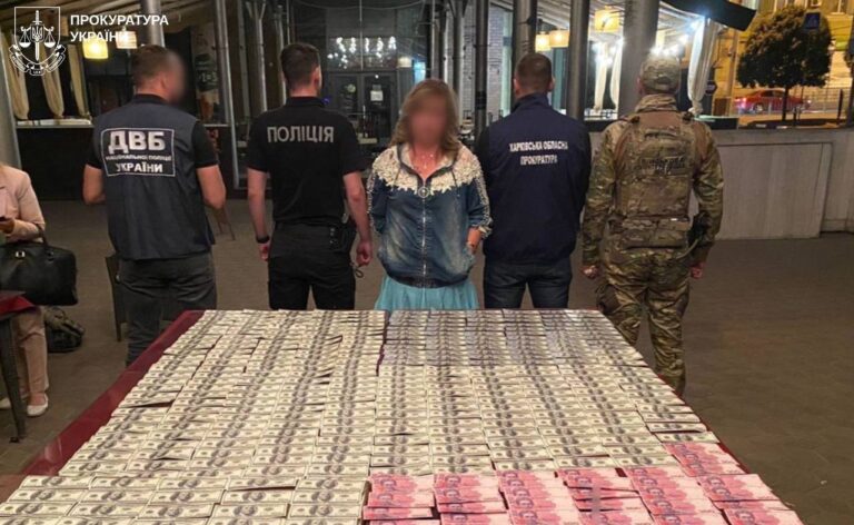 Харків'янка засуджена за обіцянку дезертирства та незаконного переправлення через кордон 9