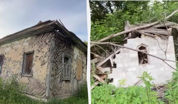 Ліс повертає собі українське село: приголомшливі кадри з покинутого обійстя 7