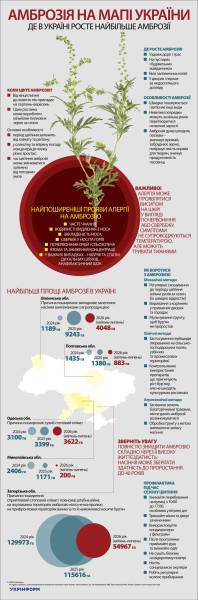 Амброзія: як бур'ян захоплює Україну 4
