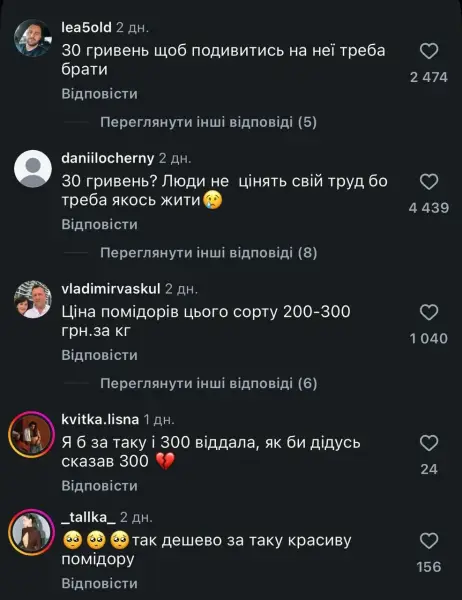 Українець виростив помідор-велетень і ошелешив його ціною (відео)
