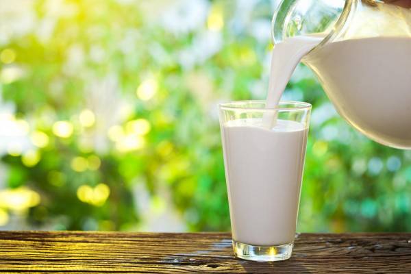 8 продуктів, що перевершують молоко за вмістом кальцію