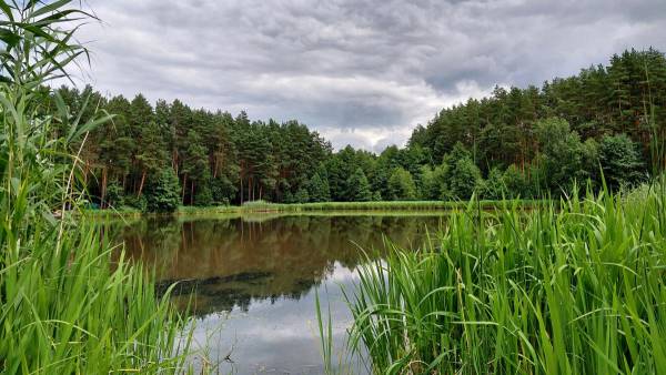 Відкриті водойми: чим небезпечне літнє купання 8