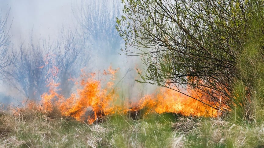 Пожежі у Великій Британії