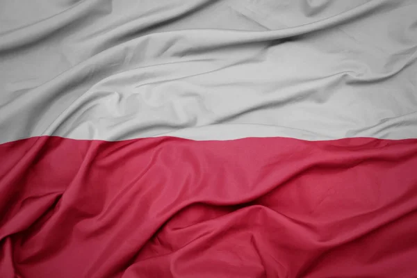 Українські захисники знищили російський танк з протитанкової ракети