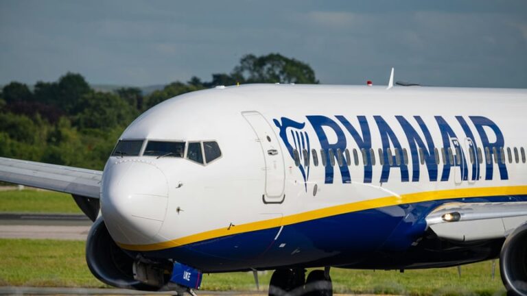 Зграя птахів могла спричинити трагічний інцидент з пасажиром Ryanair 7