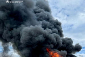Росія знищує продукти: порожні полиці та страх перед дефіцитом 6