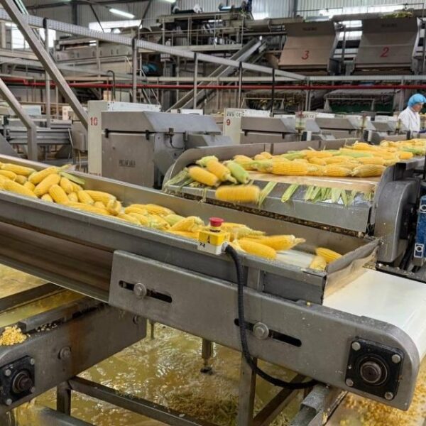 Завод з заморозки овочів та ягід продають за $4,5 мільйона