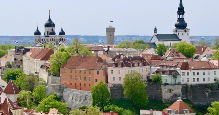 Е-резидентство Естонії: можливості та обмеження 7