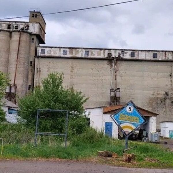 Державну хлібну базу на Харківщині продають за мільйони