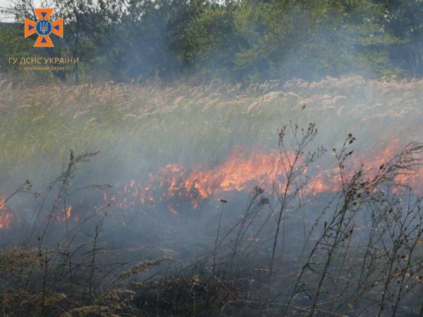 Запоріжжя палає: 24 пожежі за добу, 13 спричинили обстріли 16