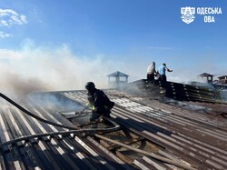 Наслідки атаки на птахофабрику на Одещині
