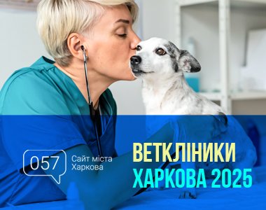 Ветеринарні клініки Харкова 2025: обираємо найкращу допомогу для тварин